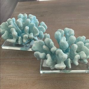 coral reefs home decor
